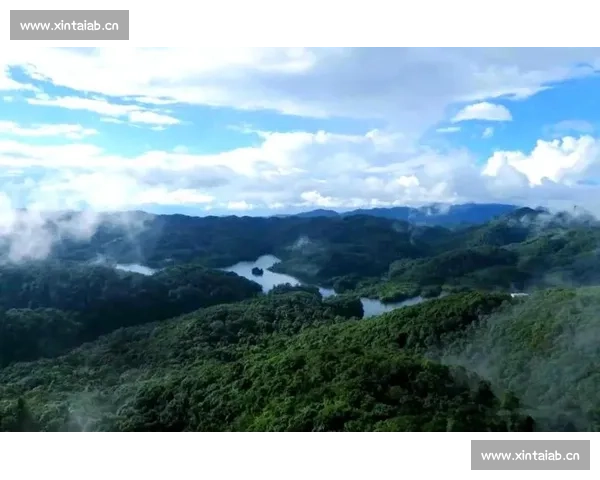 探秘哀牢山神秘生态秘境与多民族文化交融的自然瑰宝